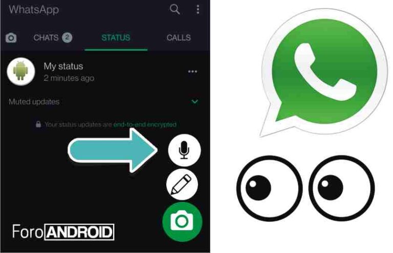 icono estados de voz en whatsapp